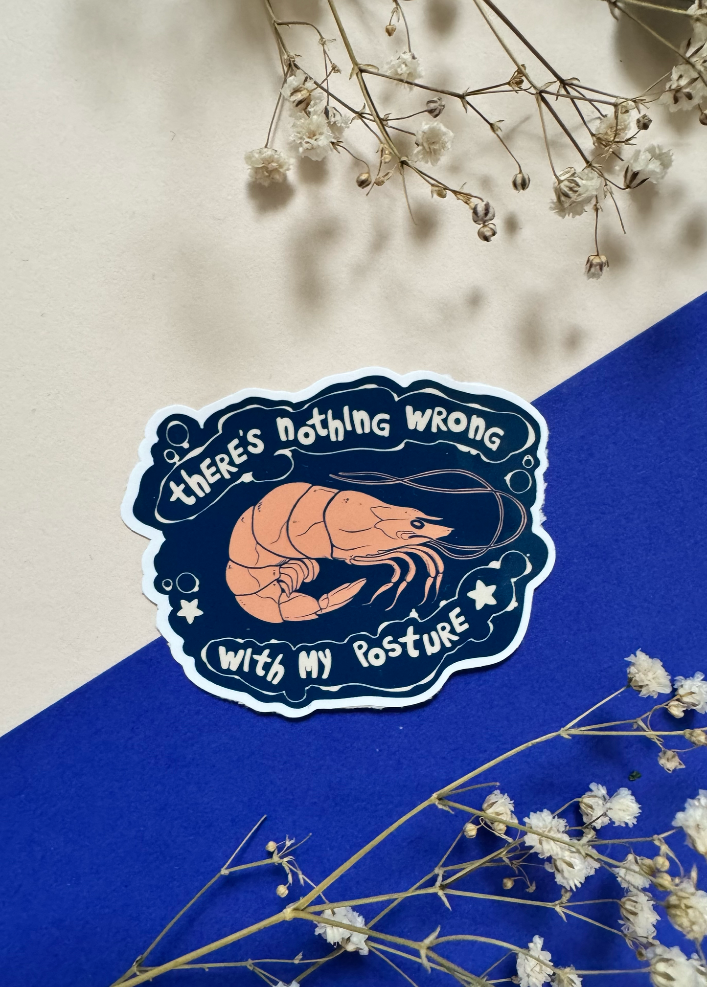 There’s Nothing Wrong with My Posture – Sticker (US)