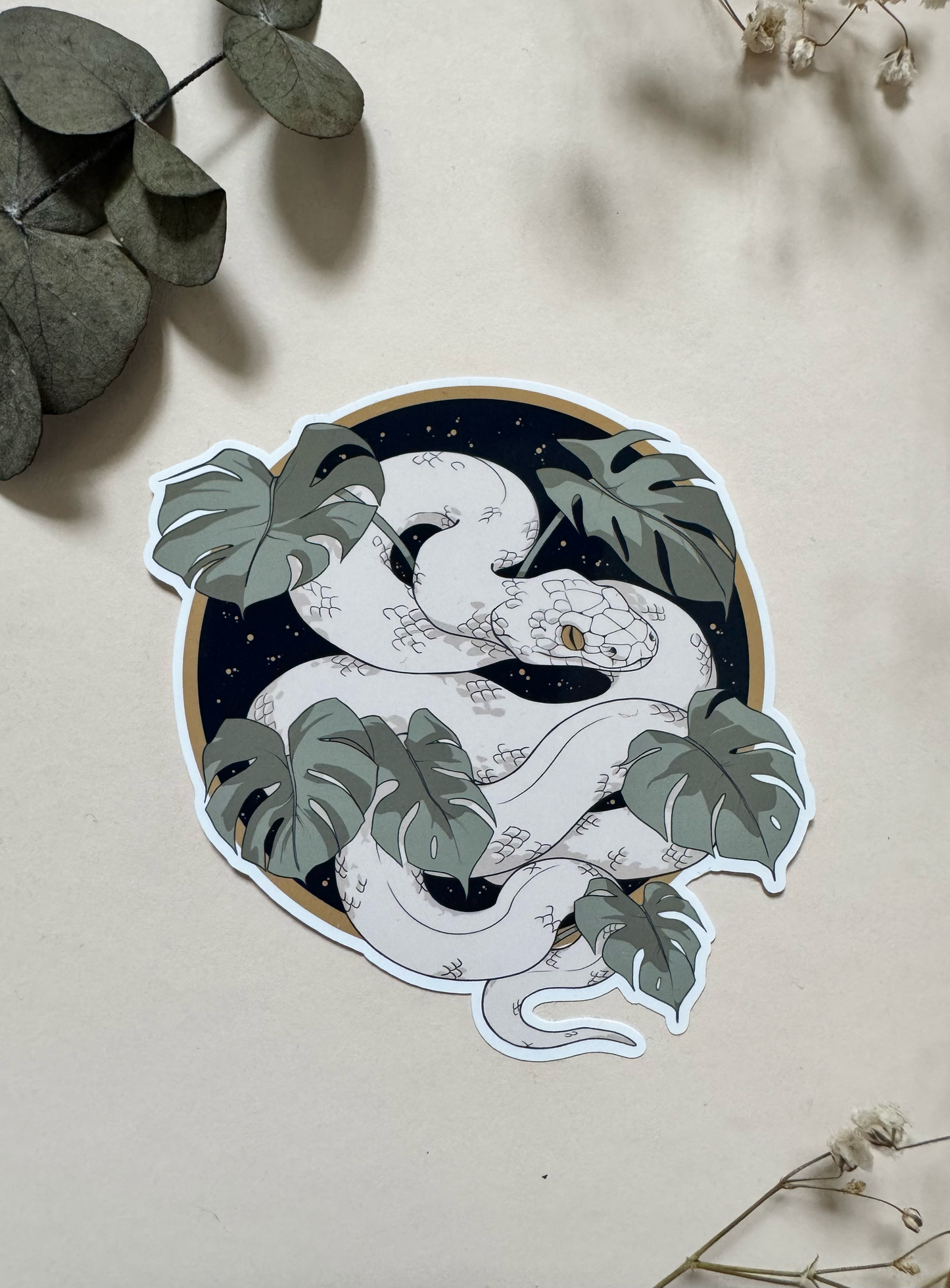 Monstera Snake – Sticker (US)