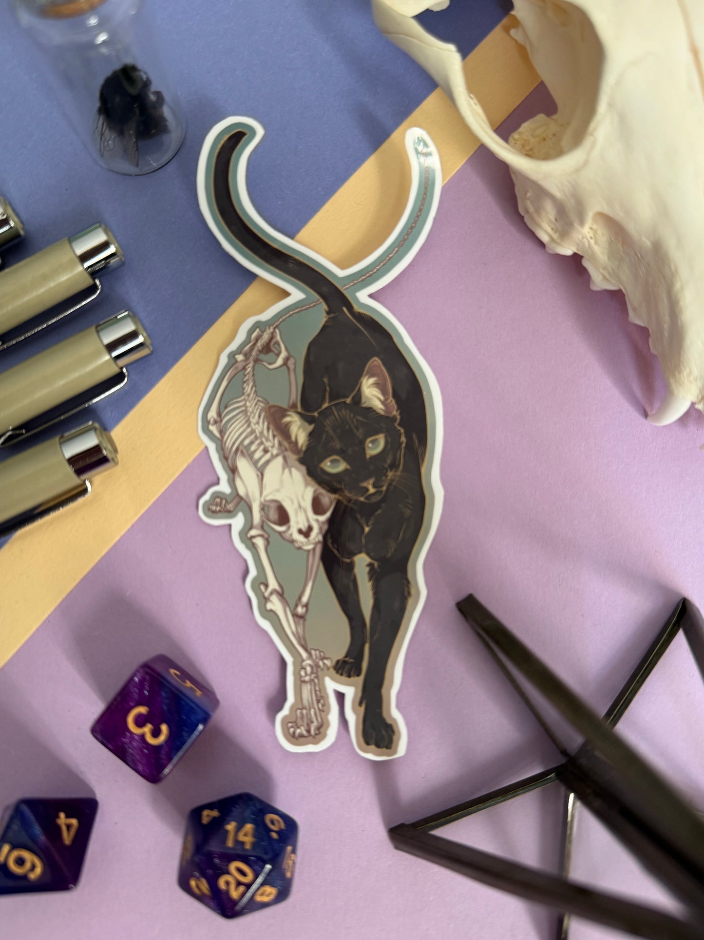 Siamese – Sticker (US)