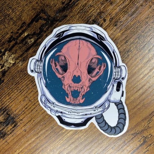 cat skull with astronaut helmet