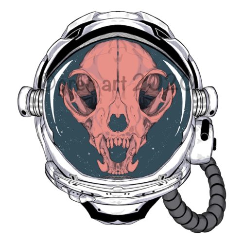 cat skull in space helmet