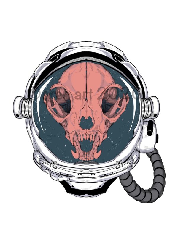 cat skull in space helmet