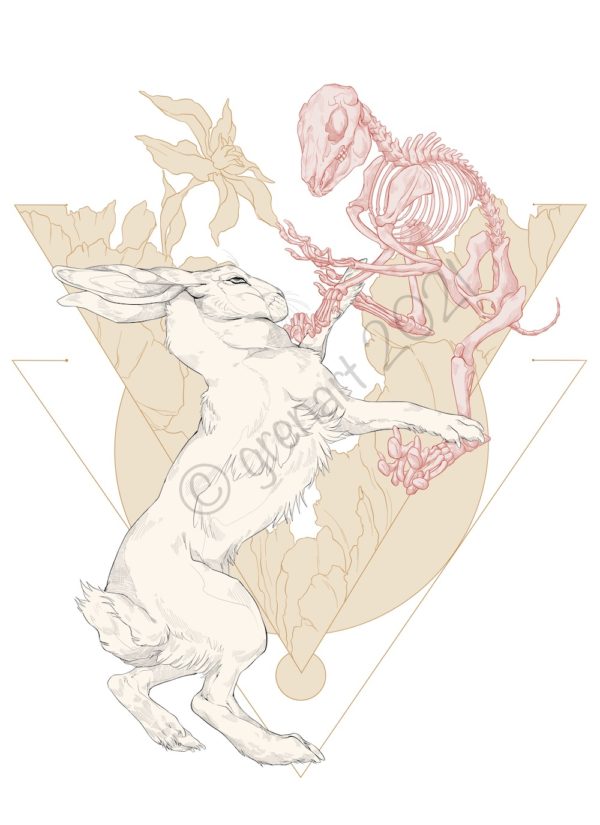 hare and skull print